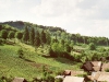 2001friedhof